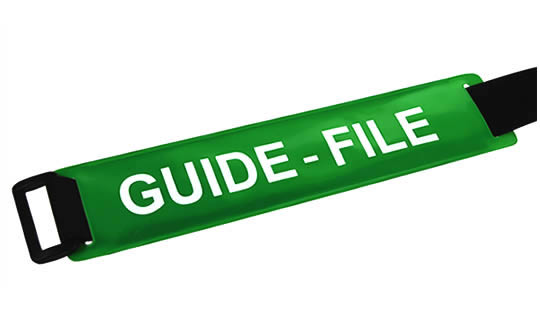 Brassard GUIDE-FILE fond vert texte blanc